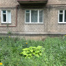 Продается 3- х комнатная квартира, пр-т Ильича, дом 96 А, арт. 5407