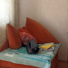 Продается 1 комнатная квартира, ул. Стадионная, ориентир "Цирк", арт. 6047
