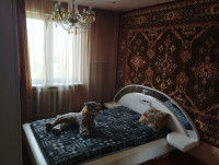 Продаю 3 - х комнатную квартиру, пр. Офицерский арт 2601