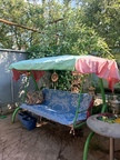 Продается 2 - х комнатный дом, ул. Запорожская арт 2428